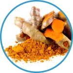 turmeric